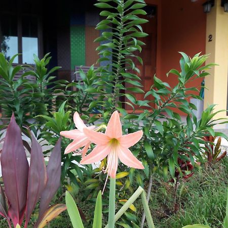 Raintree Bangsak Villa Khao Lak Buitenkant foto