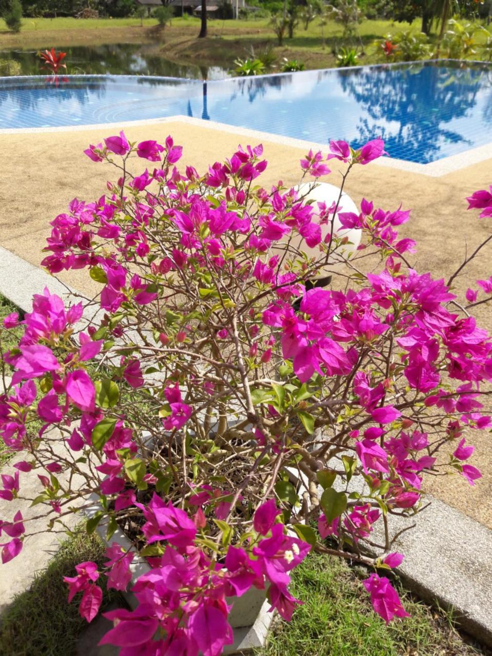 Raintree Bangsak Villa Khao Lak Buitenkant foto